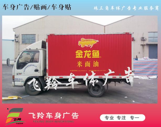 金龙鱼3.jpg